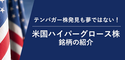 米国ハイパーグロース株銘柄の紹介